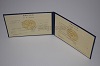 Стоимость диплома техникума УзбекАССР 1975-1991 г. в Строителе (Белгородская Область)